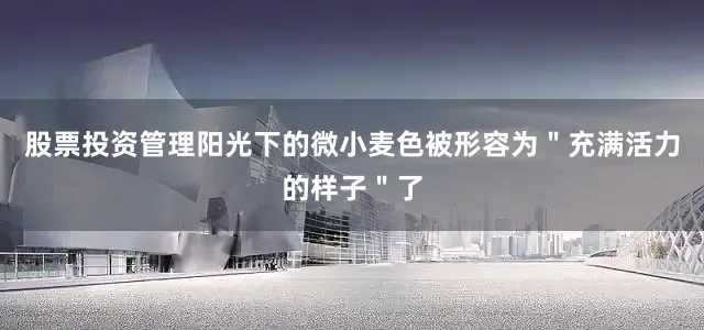 股票投资管理阳光下的微小麦色被形容为＂充满活力的样子＂了