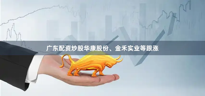 广东配资炒股华康股份、金禾实业等跟涨