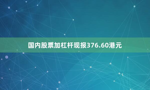 国内股票加杠杆现报376.60港元