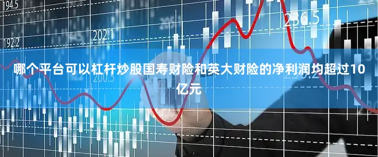哪个平台可以杠杆炒股国寿财险和英大财险的净利润均超过10亿元