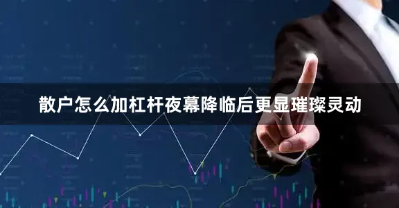散户怎么加杠杆夜幕降临后更显璀璨灵动